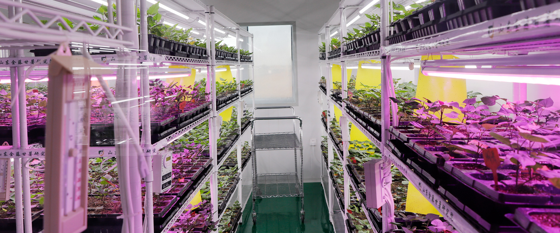 生產(chǎn)現場(chǎng)